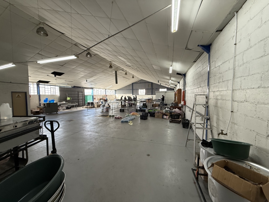 To Let commercial Property for Rent in Triangle Farm Western Cape